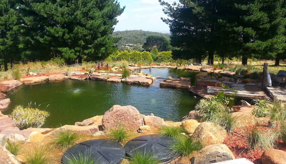Fish dams and ponds service